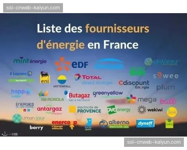 特写：一家专注于比赛场景分析的法国科技初创公司