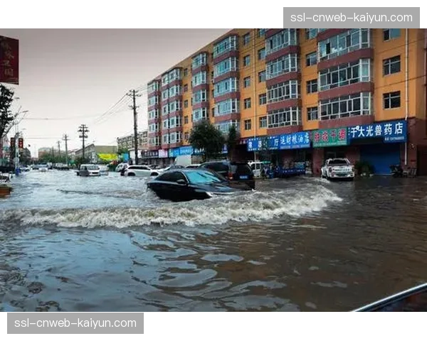 现场：弗罗西诺内主场因突发暴雨中断比赛，工作人员紧急清理积水